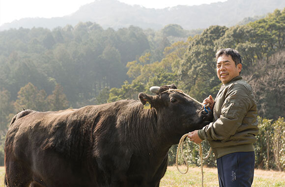 野田さんと牛